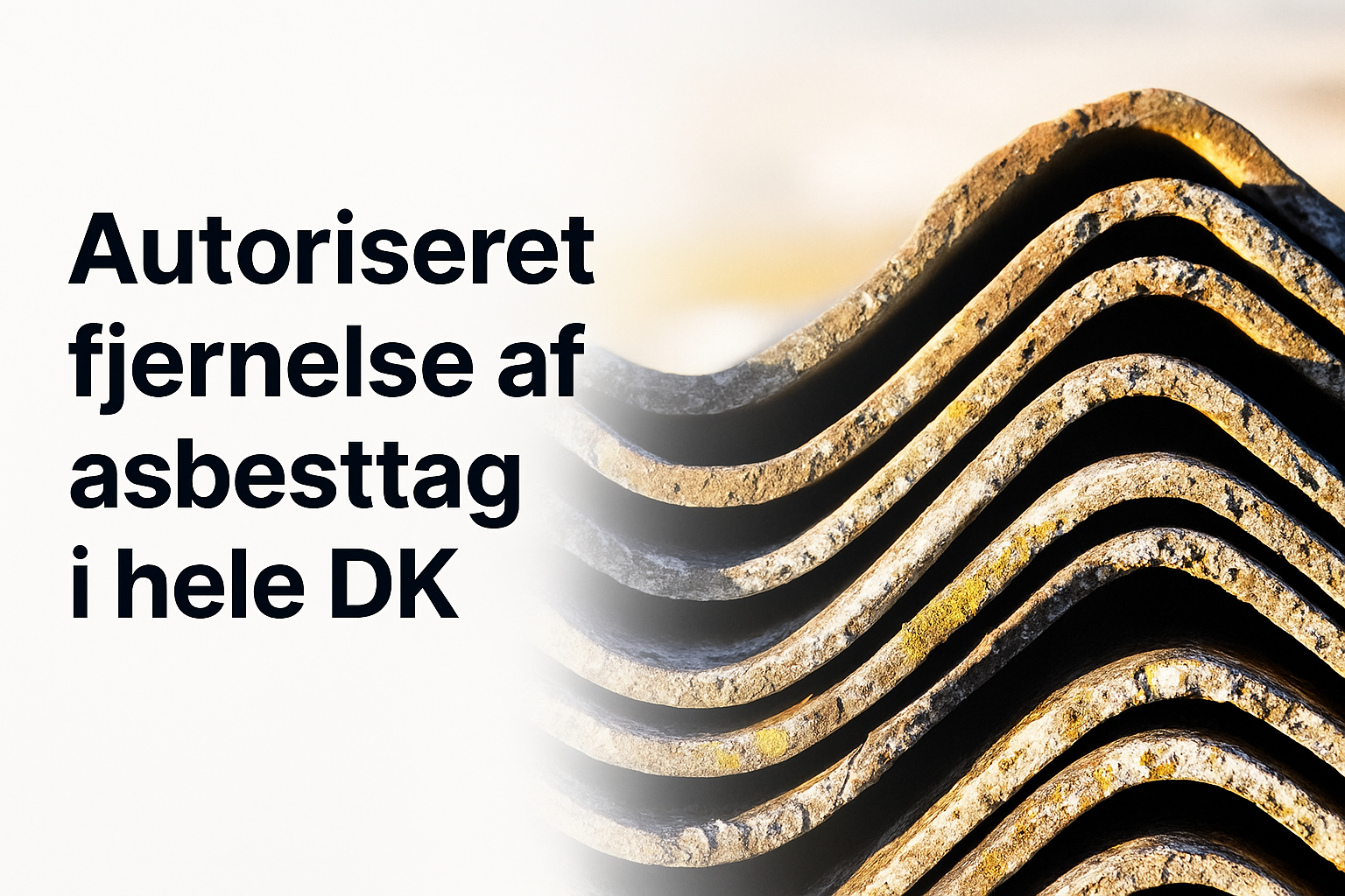 Autoriseret fjernelse af asbesttag i hele DK